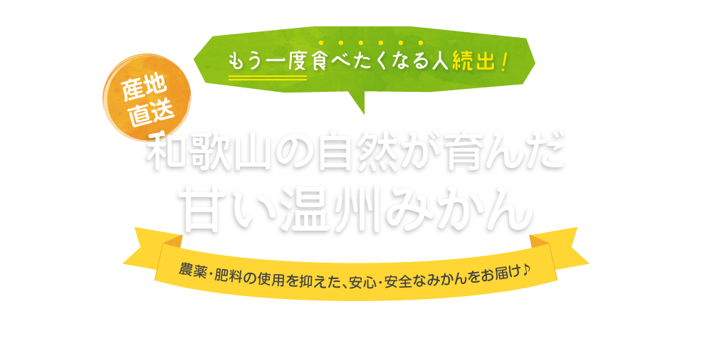 もう一度食べたくなる人続出！和歌山の自然が育んだ甘い温州みかん