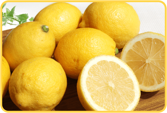 レモン（販売期間：4月～5月）